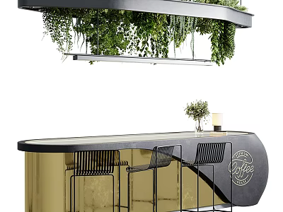 Modern Reception Desk With Black Countertop Gold Frame And Hanging Green Plants Above 3d model