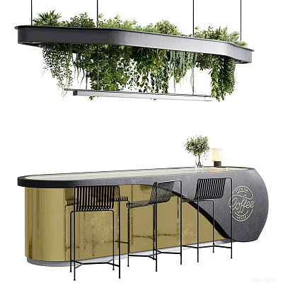 Modern Reception Desk With Black Countertop Gold Frame And Hanging Green Plants Above 3d model