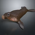 Realistic Brown Seal Decorative Sculpture With Textured Surface On Dark Background