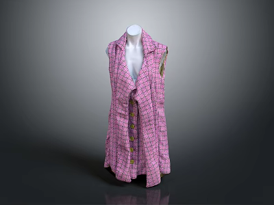 Pink Plaid Sleeveless Vest With Button Front Longline Fashion Design 3d model