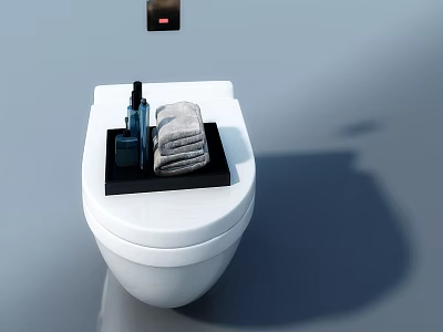 Swing Door In Modern Bathroom With White Toilet Black Tray And Towels 3d model