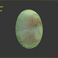 Polished Oval Natural Stone With White Pink Hues Smooth Surface And Natural Patterns