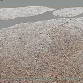 Damaged Ground Surface With Scattered Stones On Yellowish Brown Soil And Gray Background