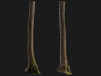 Natural Wood Tree Trunks With Stone Textured Bases For Decorative Design 3d model