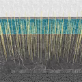 Golden Wheat Ear Shaped Outdoor Lights Arranged On Ground With Blue Water Background