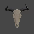 Detailed Bull Skull With Black Horns And Skeletal Features On White Background