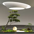 Indoor Landscape Landscaping Green Plant Landscape Courtyard Sketch Plant Combination Red Maple Acer claw Plant Pile Dry Landscape 3d model