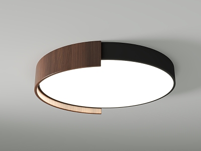 Modern Ceiling Lamp Round Ceiling Lamp 3d model