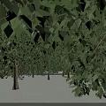 Modern School Buildings Architectural Design Campus Layout With Courtyards And Roads