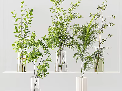 Fresh Green Foliage Arranged in Transparent and White Vases on White Shelf Decor 3d model