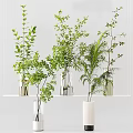 Fresh Green Foliage Arranged in Transparent and White Vases on White Shelf Decor