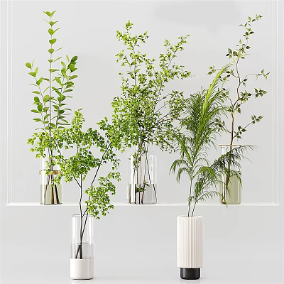 Fresh Green Foliage Arranged in Transparent and White Vases on White Shelf Decor 3d model