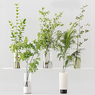 Modern vase hydroponic plant glass vase flower arrangement 3d model