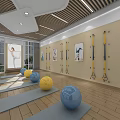 Spacious Fitness Studio With Yoga Balls Mirrors Wooden Floor Suspension Rings And Potted Plants