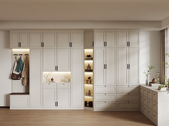 French Shoe Cabinet Wardrobe Home Cabinet 3d model