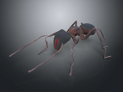 Detailed Ant With Long Antennae And Legs Dark Body Red Head Features 3d model