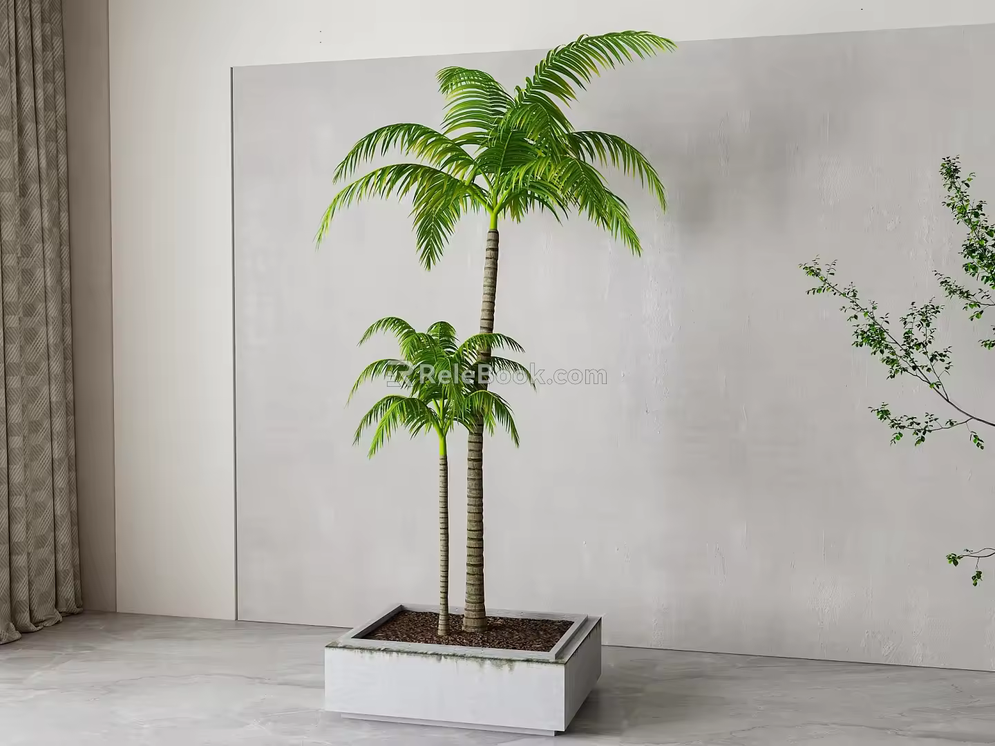 Modern Coconut Tree 3d model