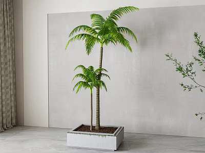 Modern Coconut Tree 3d model