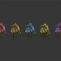 Vibrant Colorful Mixed Flower Plants Neatly Arranged With Reflections On Black Background