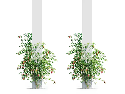Green Vines Climbing Around White Pillars With Small Red Fruits And Leaves 3d model