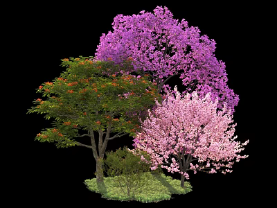 Vibrant Arbor Trees With Purple Pink Green Blooms And Lush Foliage In Garden 3d model