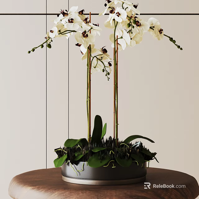 Potted Bonsai Plant With White Orchids Tall Stems Green Leaves Dark Pot Wooden Table 3d model 