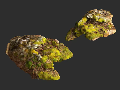 Two Pieces of Moss Covered Stone Wood with Green Moss and Natural Texture 3d model