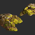 Two Pieces of Moss Covered Stone Wood with Green Moss and Natural Texture