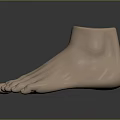 Man's Realistic Foot Model With Light Skin Tone On Dark Reflective Surface