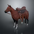 Equestrian Character And Brown Horse With Saddle Bridle Standing On Dark Gray Background