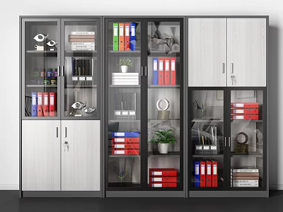 Modern Bookcase With Glass And Wooden Doors Colorful Folders Books Decorative Items And Potted Plant 3d model