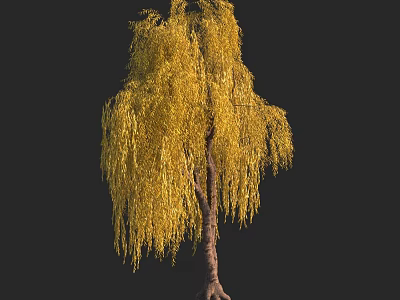 Lush Golden Weeping Arbor With Hanging Yellow Foliage And Brown Trunk 3d model