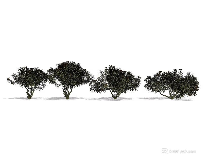 Various Arbor Trees With Different Green Foliage And Natural Growth Forms 3d model