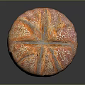 Fresh Golden Orange Round Bread with Cross Pattern and Sesame Seeds