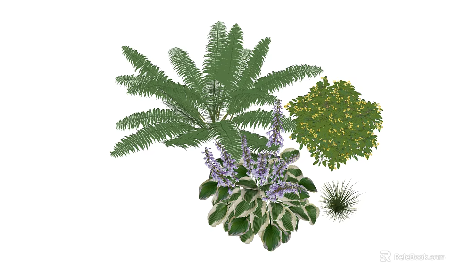Garden Shrub Accompanied by Yellow Blooms Purple Flowers Fern and Small Plants 3d model 