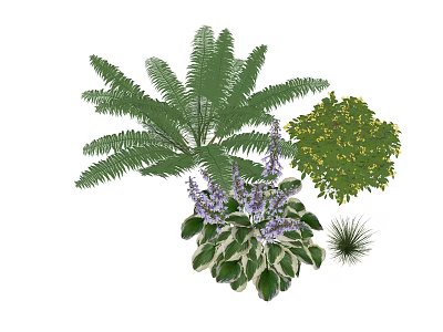 Garden Shrub Accompanied by Yellow Blooms Purple Flowers Fern and Small Plants 3d model