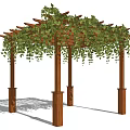 Outdoor Wooden Pergola With Lush Green Climbing Vines And Sunlight Shadow Patterns