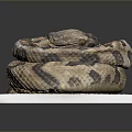 Brown and Tan Patterned Coiled Snake Resting on White Platform Surface 3d model