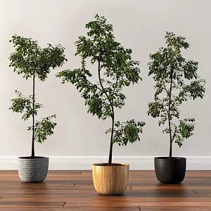 potted plant 3d model