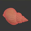 Conch Shell With Yellow Striped Spiral Pattern On Dark Background Surface 3d model