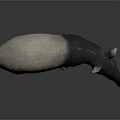 Tapir With Gray And Black Body Standing On Shiny Surface 3D Rendering 3d model
