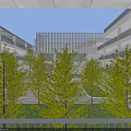 Modern School Building Complex With Campus Green Areas And Sports Field