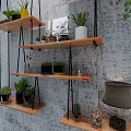 Wall Mounted Wooden Shelves Displaying Various Bonsai Plants and Decorative Items