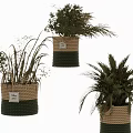 Decorative Woven Baskets with Green and Beige Stripes Holding Various Plants with Tags