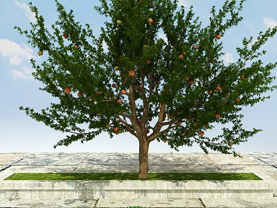 Lush Fruit Bearing Arbor With Green Leaves And Red Yellow Fruits On Stone Pavement 3d model