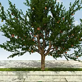 Lush Fruit Bearing Arbor With Green Leaves And Red Yellow Fruits On Stone Pavement