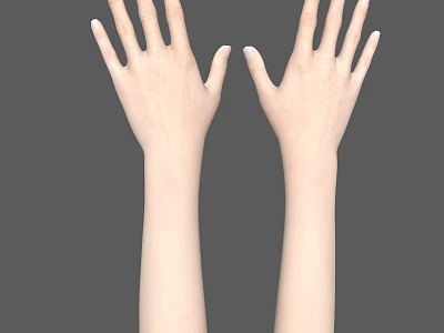 Human Hands And Arms With Natural Skin Tone On Gray Background 3d model