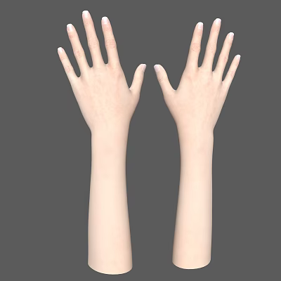 Human Hands And Arms With Natural Skin Tone On Gray Background 3d model