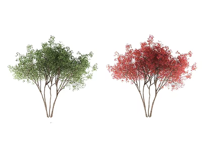 Arbor Trees With Green And Red Leaves For Garden Landscape Decoration 3d model