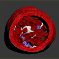 Human Organ Model Featuring Red Fur Like Texture In Columnar Shape On Dark Background